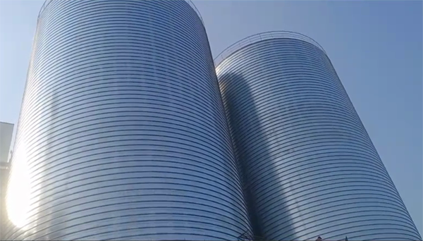 武陟2座混凝土高架卷板仓